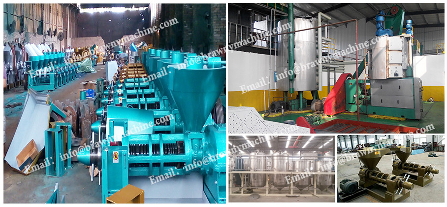 China Famous Oil Press Machine/High Quality Oil Press/Sunflower Oil Solvent Extraction Plant