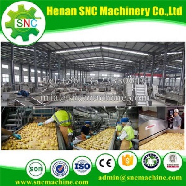 SNC French fries or Potato chips machine China supplier sweet potato chips making machine #1 image