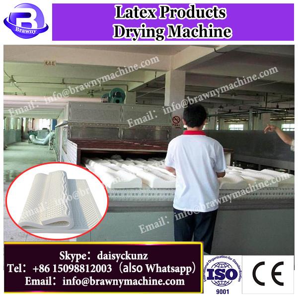 DWT-1.2-10 Continuous mesh conveyor belt fruit drying machine #3 image