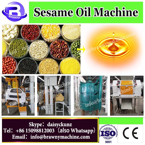 12 month warranty cold press sesame seed oil extraction machine #1 image