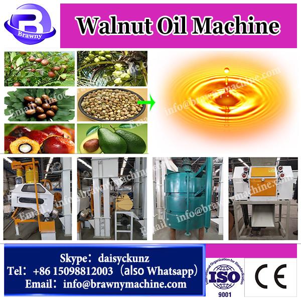 cold press oil machine price Household intelligent automatic mini walnuts oil press #3 image