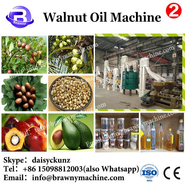 cold press oil machine price Household intelligent automatic mini walnuts oil press #1 image