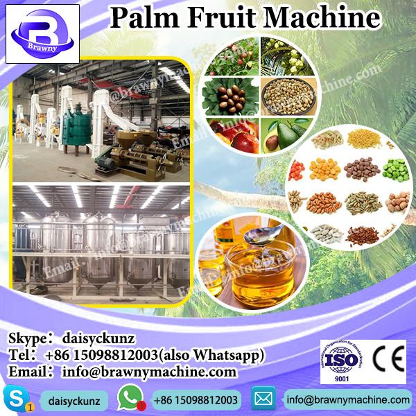 300-500KG/H H.H-1 Model Palm Fruit Oil Mill #3 image