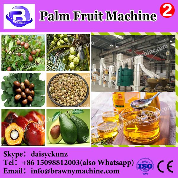 10T/H-80T/H best manufacturer crude palm oil machine palm oil extraction machine #1 image