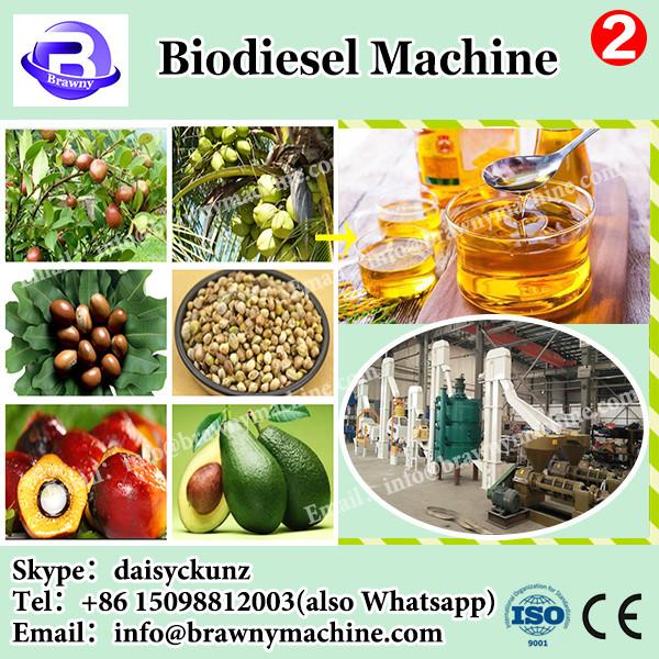 Biodiesel process flash column how to make biodiesel,large scale B100 biodiesel equipment #1 image