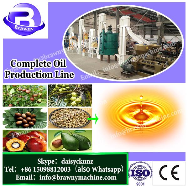 Complete technical process for crude rapeseed oil to biodiesel production line #1 image