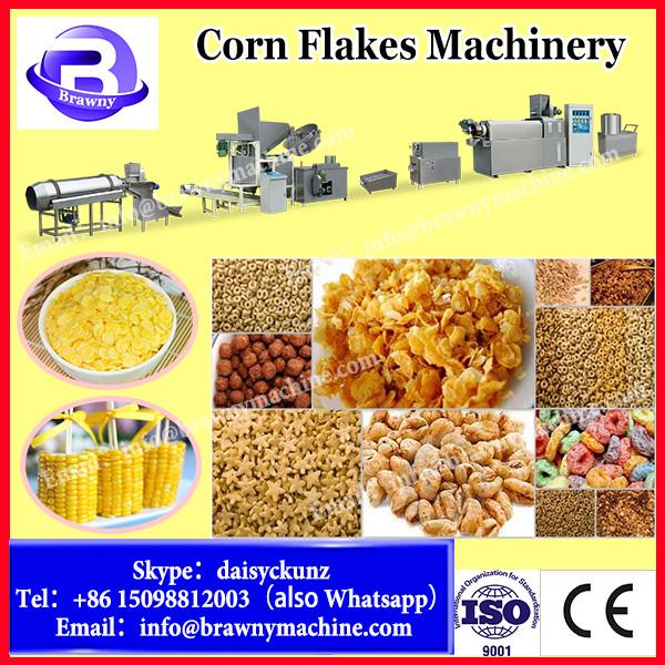 2017 DG Honey Crunch Corn Flakes Processing Line from Jinan DG Machinery #3 image