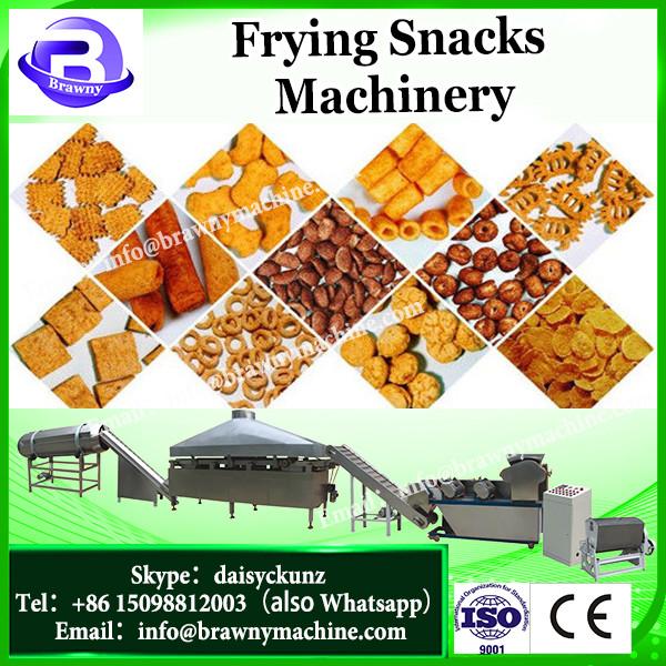 0086 13592420081 Food Machinery Snack Machines Automatic Stainless Steel Chips Fryer Equipment #3 image