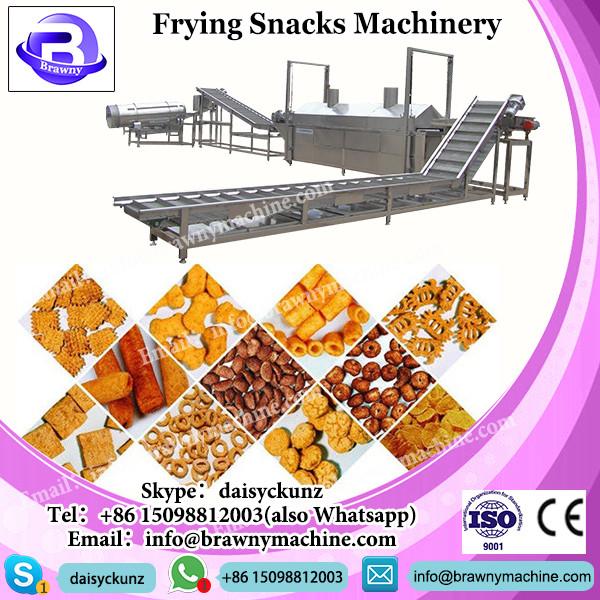 0086 13592420081 Food Machinery Snack Machines Automatic Stainless Steel Chips Fryer Equipment #1 image